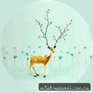 孙鹏